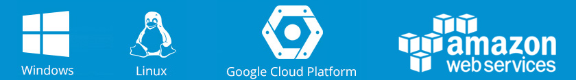 Windows, Linux, Google Cloud Platform_Logos Your Business Phone System on Windows, Linux or in Google Cloud Platform
